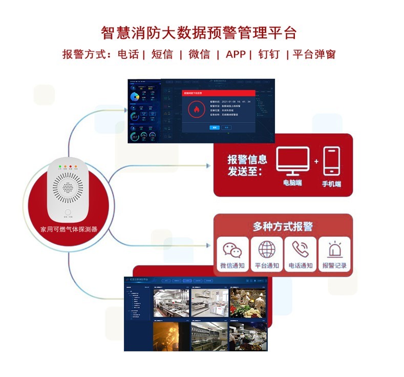 JT-TCN5010甲烷探测器图片