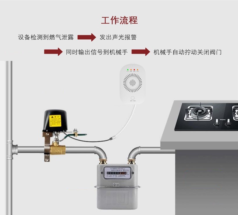 JY-TCN5020丙烷探测器图片