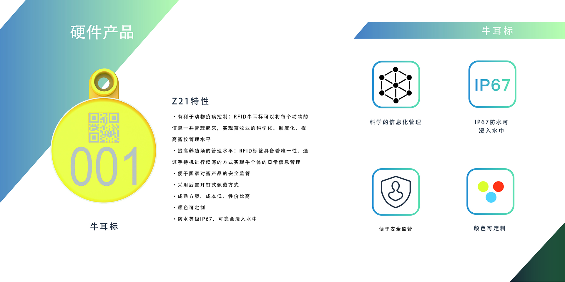 动物耳标图片