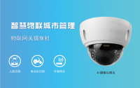 AI网关摄像机AG91