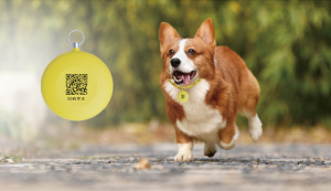 城市犬只管理解决方案