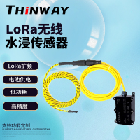 无线水浸传感器 THW1592