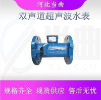 河北当曲型号规格齐全超声波水表流量计DQ-SYZ-100系列