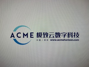 深圳市极致云数字科技有限公司