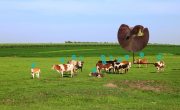 RFID畜牧业动物管理方解决案