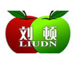 广州刘之顿电子科技有限公司