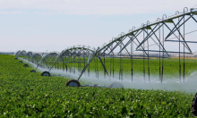 农业用水综合管理系统