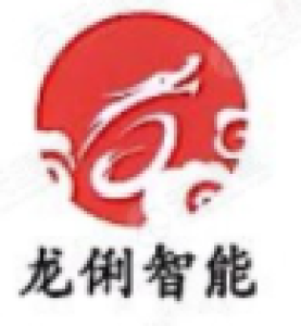 深圳市龙俐智能科技有限公司