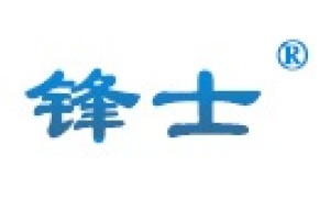 山东锋士信息技术有限公司