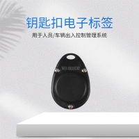  钥匙扣电子标签BA1型