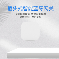 插头式智能蓝牙网关GC900型