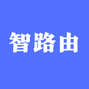 深圳市智路由科技有限公司