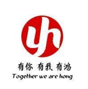 山东有鸿信息科技有限公司
