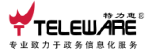 特力惠信息科技股份有限公司