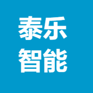 广西泰乐智能安防工程有限公司