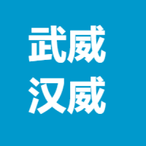甘肃武威汉威科技有限公司