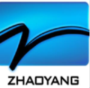 广东昭阳信息技术有限公司