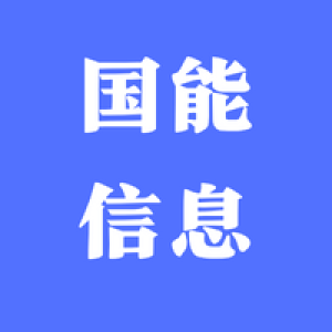 河北国能信息技术有限公司