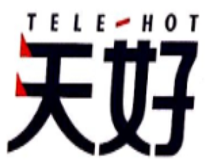 上海天好信息技术股份有限公司
