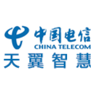 杭州天翼智慧城市科技有限公司