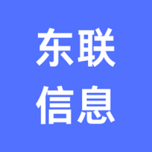 安徽东联信息技术有限公司