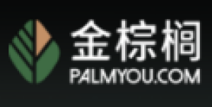 上海棕榈电脑系统有限公司