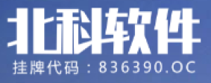 武汉北大高科软件股份有限公司