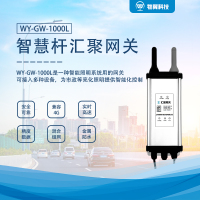 智慧杆照明集控汇聚网关