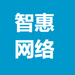 宁波智惠网络科技有限公司