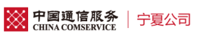 宁夏回族自治区通信产业服务有限公司