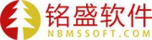 宁波铭盛软件有限公司