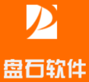 盘石软件（上海）有限公司