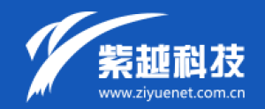上海紫越网络科技股份有限公司