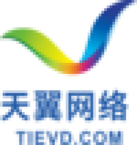 四川天翼网络服务有限公司