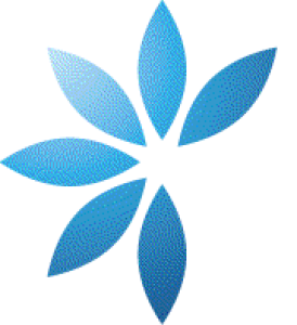 上海集利信息科技有限公司