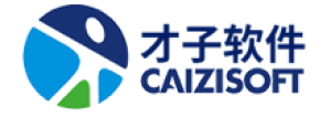 四川才子软件信息网络有限公司