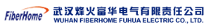 武汉烽火富华电气有限责任公司