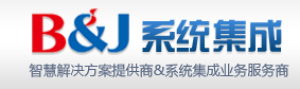 武汉百捷集团系统集成有限公司