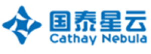 北京国泰星云科技有限公司