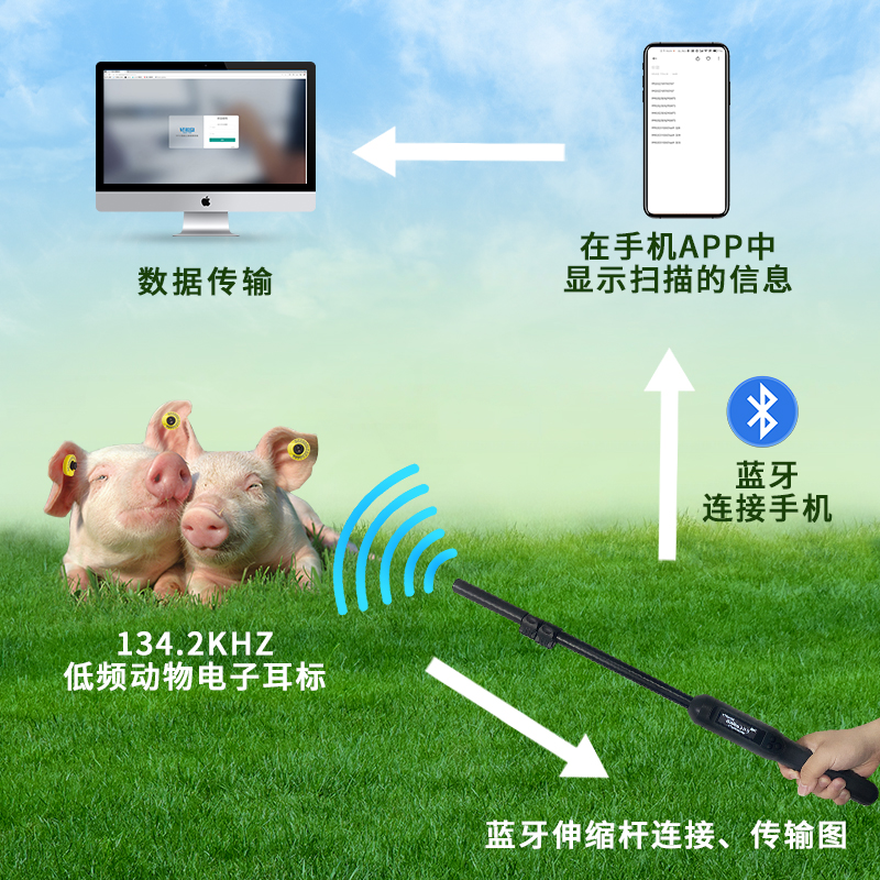 RFID手持式低频蓝牙读卡器 FDX-B动物芯片扫描仪图片