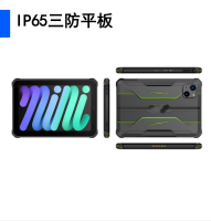 10.1寸工业三防平板，安卓11系统