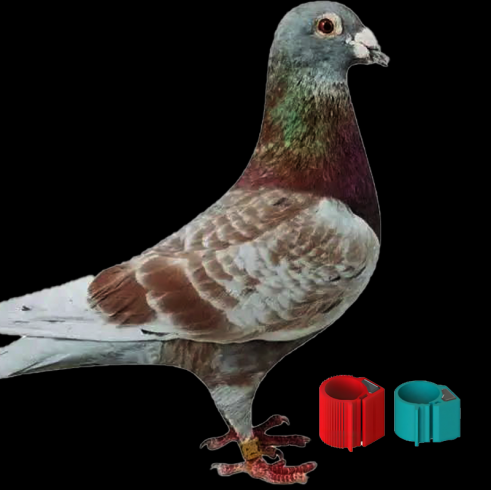 联业RFID鸽子脚环标签图片