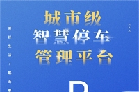  城市级智慧停车管理平台