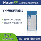 高速率双模蓝牙模块MS-BTD021A接收一体小体积远距离支持HCRP