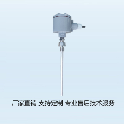 LORA型探杆式温度检测仪图片