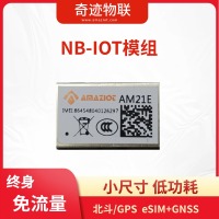 NB-IOT模组 北斗/GPS eSIM终身免流量 小尺寸 低功耗 特价 AM21E V2