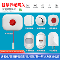 适老化智慧养老网关家庭套装4G智能居家庭系统平台养老院报警主机