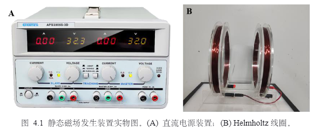 功率放大器在体外构建工程化心肌组织研究中的应用图片