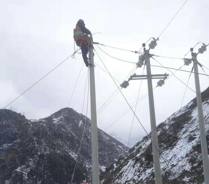 特力康供应 电网架空输电线路覆冰监测系统 拉力覆冰传感器图片