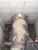 多声道插入式超声波流量计DCT1188D Plus图片